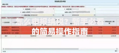 怎么申报纳税？新手必看的简易操作指南