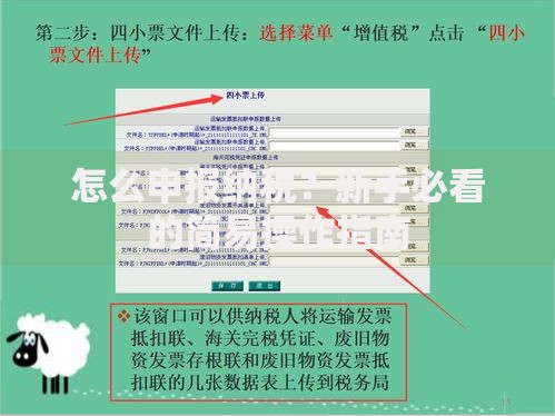 怎么申报纳税？新手必看的简易操作指南