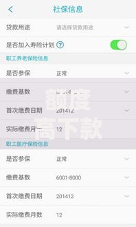 额度高下款快的贷款平台：高额度贷款如何快速审批？