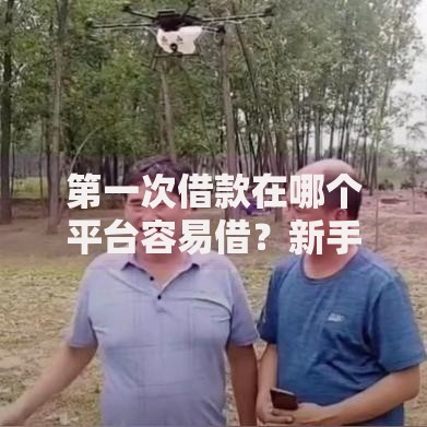 第一次借款在哪个平台容易借？新手必看攻略
