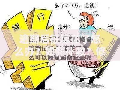 逾期后征信花了怎么办？如何补救？修复指南全解析