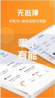 哪个有能下款口子？快速审批低门槛贷款渠道解析