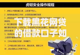 下载黑花网贷的借款口子如何操作？安全使用指南及注意事项解析
