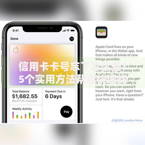 信用卡卡号忘了怎么查？5个实用方法帮你快速找回