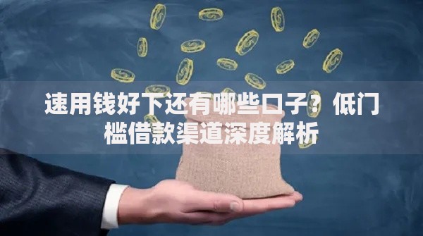 速用钱好下还有哪些口子？低门槛借款渠道深度解析