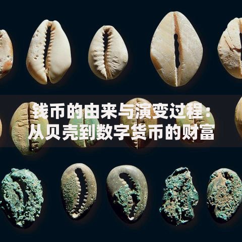 钱币的由来与演变过程：从贝壳到数字货币的财富密码