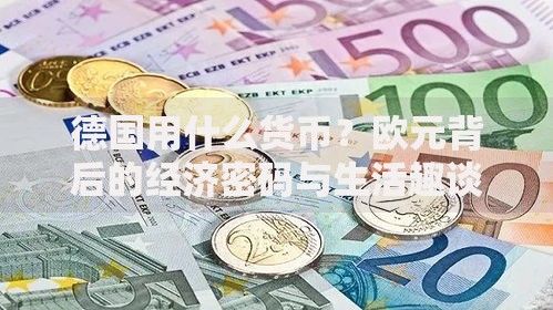 德国用什么货币？欧元背后的经济密码与生活趣谈