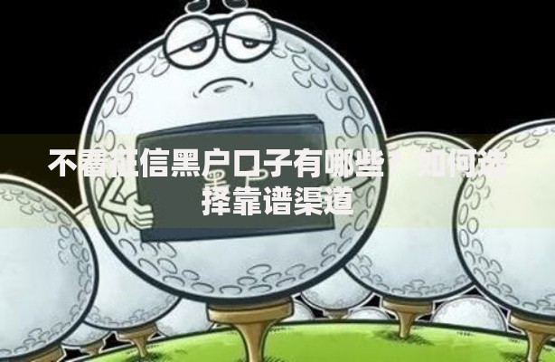 不看征信黑户口子有哪些？如何选择靠谱渠道
