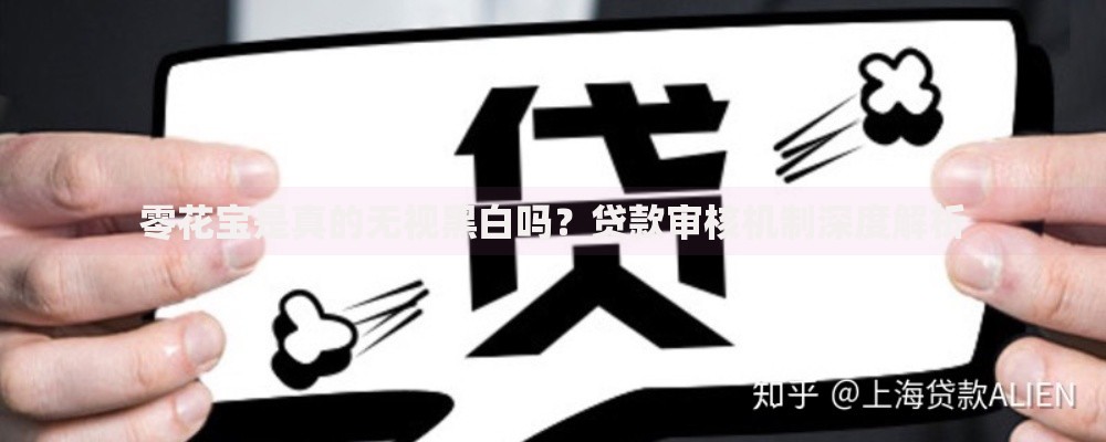 零花宝是真的无视黑白吗？贷款审核机制深度解析