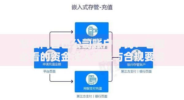 怎么向自己公司账户存钱：老板必看的资金注入流程与合规要点解析