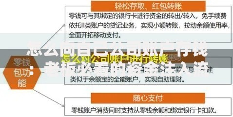 怎么向自己公司账户存钱：老板必看的资金注入流程与合规要点解析