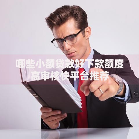 哪些小额贷款好下款额度高审核快平台推荐