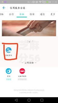 芝麻分560网黑口子能贷款吗？全网深度解析