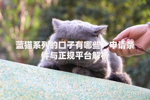 蓝猫系列的口子有哪些？申请条件与正规平台解析
