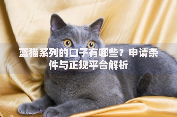 蓝猫系列的口子有哪些？申请条件与正规平台解析
