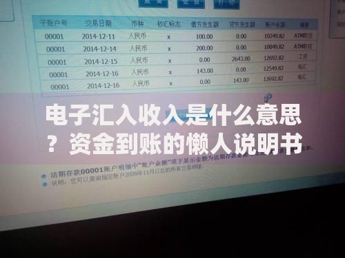 电子汇入收入是什么意思?资金到账的懒人说明书 电子汇入收入是什么意思?资金到账的懒人说明书