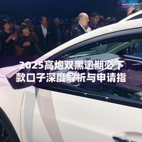 2025高炮双黑逾期必下款口子深度解析与申请指南