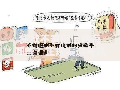 贷款不看征信的有哪些?正规渠道与风险解析 贷款不看征信的有哪些?正规渠道与风险解析