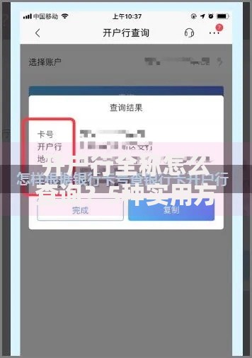 开户行全称怎么查询？5种实用方法帮你快速解决