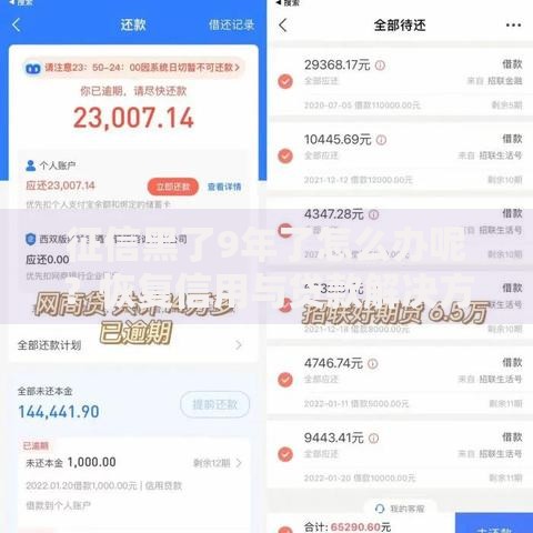 征信黑了9年了怎么办呢？恢复信用与贷款解决方案解析