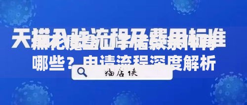 黑花魔盒口子借款条件有哪些？申请流程深度解析