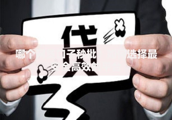 哪个网贷口子秒批？如何选择最安全高效的平台