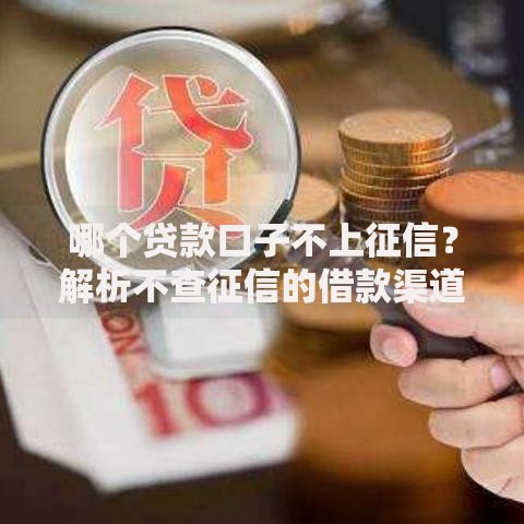 哪个贷款口子不上征信？解析不查征信的借款渠道及风险提示