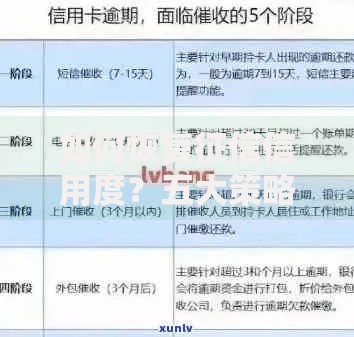 如何恢复征信信用度？五大策略助你快速修复信用记录