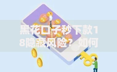 黑花口子秒下款18隐藏风险？如何选择安全贷款渠道