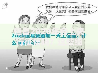 恒昌2020年会上央行征信吗？这些细节可能被忽略了