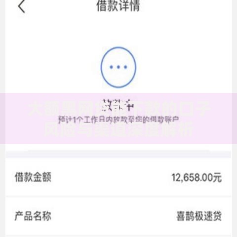 大额黑网贷能下款的口子风险与渠道深度解析