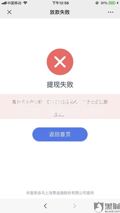 借款太多被拒什么平台还可以借？最新解决方案与平台推荐