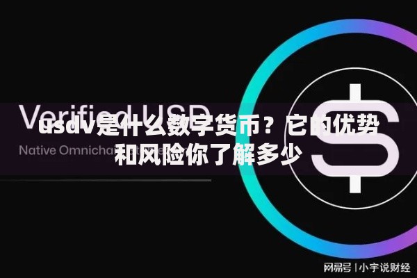 usdv是什么数字货币？它的优势和风险你了解多少