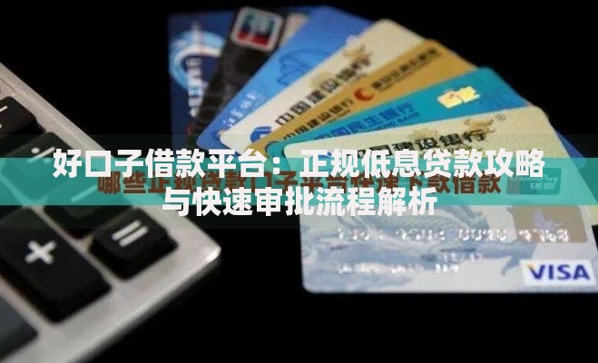 好口子借款平台：正规低息贷款攻略与快速审批流程解析