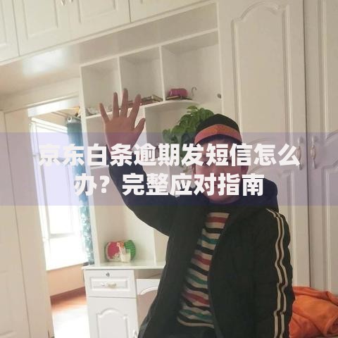 京东白条逾期发短信怎么办？完整应对指南