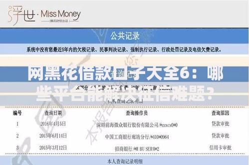 网黑花借款口子大全6：哪些平台能解决征信难题？