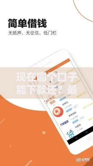 现在哪个口子能下款还？最新平台推荐与避坑指南
