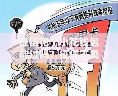 征信花了小花钱包能过吗？征信不良用户申贷全解析