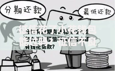 征信花了小花钱包能过吗？征信不良用户申贷全解析
