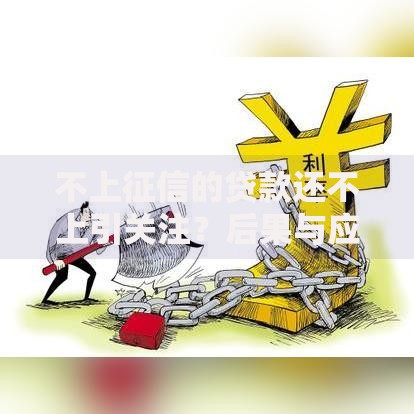 不上征信的贷款还不上引关注？后果与应对策略