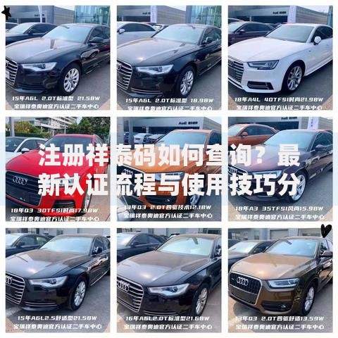 注册祥泰码如何查询？最新认证流程与使用技巧分享