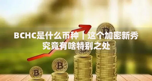 BCHC是什么币种｜这个加密新秀究竟有啥特别之处