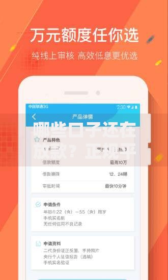 哪些口子还在放款？正规平台最新审核渠道解析