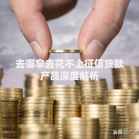 去哪拿去花不上征信贷款产品深度解析