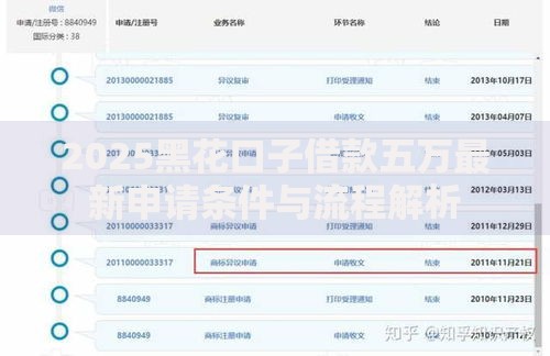 2025黑花口子借款五万最新申请条件与流程解析