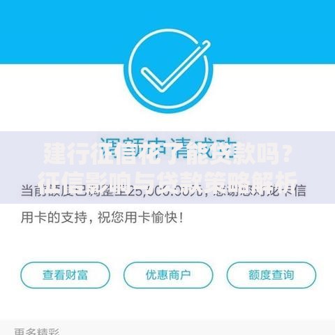 建行征信花了能贷款吗？征信影响与贷款策略解析