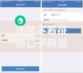 借款不看征信口子有哪些？五类正规渠道深度解析