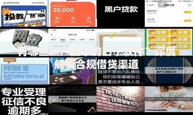 有哪些黑户能下的口子软件？深度解析合规借贷渠道