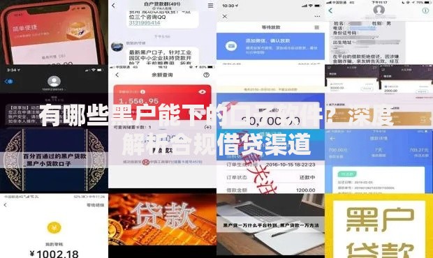 有哪些黑户能下的口子软件？深度解析合规借贷渠道