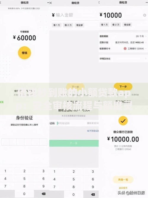 借钱秒到账的小额贷款app：安全审核流程与额度灵活选择指南